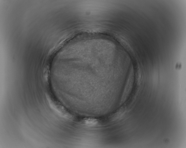 X0000113180214200909251450