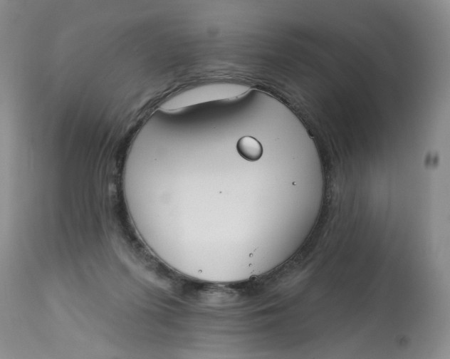 X0000113180215200909251450