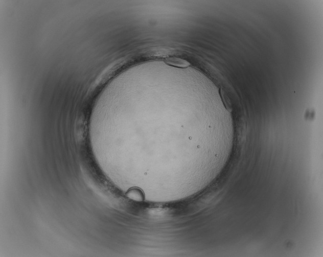 X0000113180216200909251450