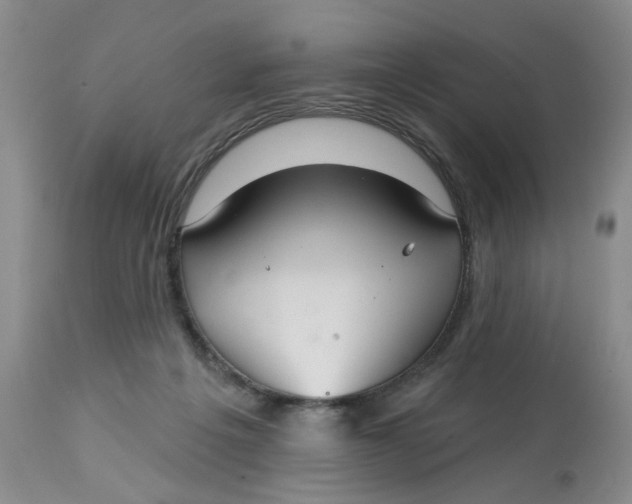 X0000113180217200909251450