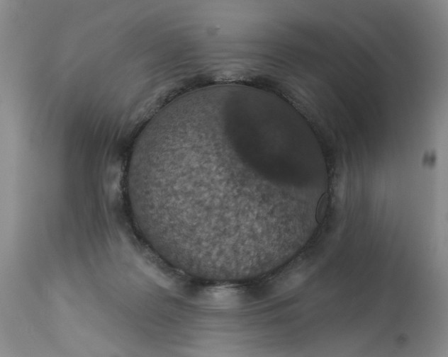 X0000113180219200909251450