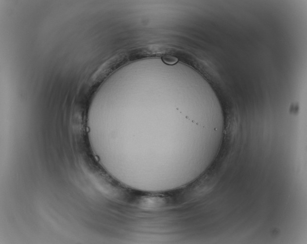 X0000113180220200909251450