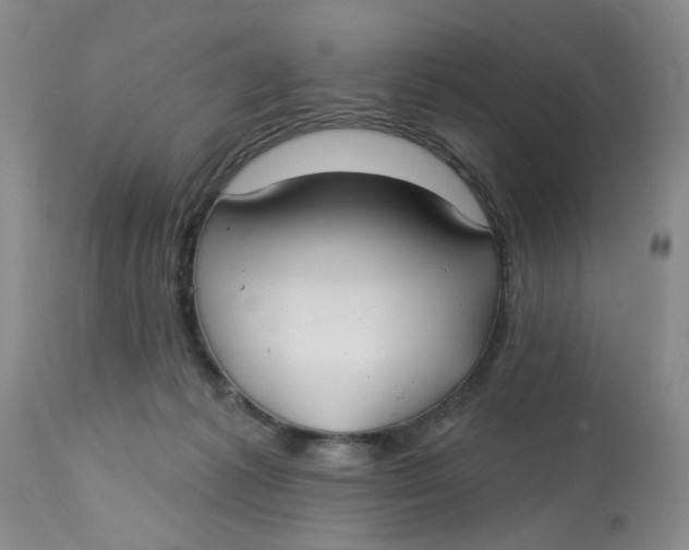 X0000113180221200909251450
