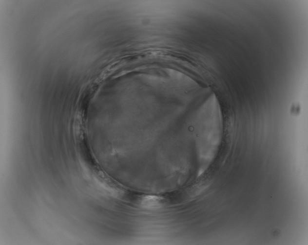 X0000113180222200909251450