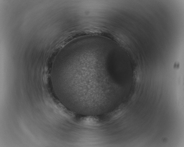 X0000113180223200909251450
