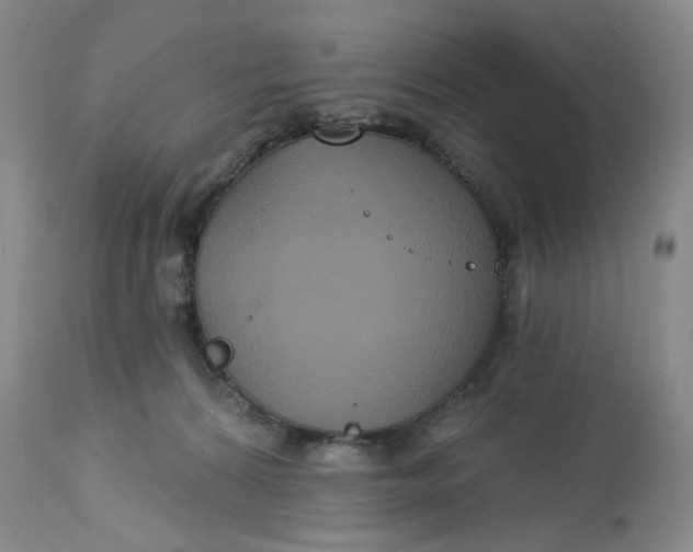 X0000113180224200909251450