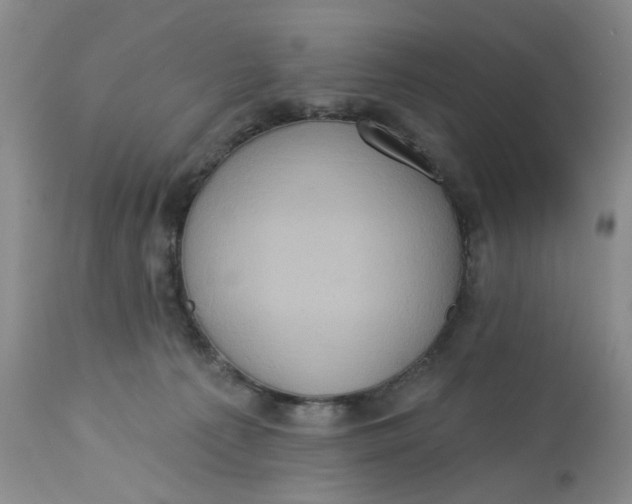 X0000113180225200909251450