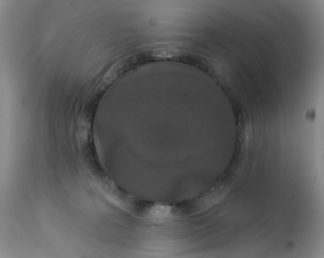 X0000113180227200909251450