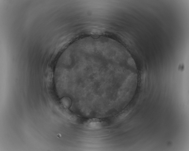 X0000113180228200909251450