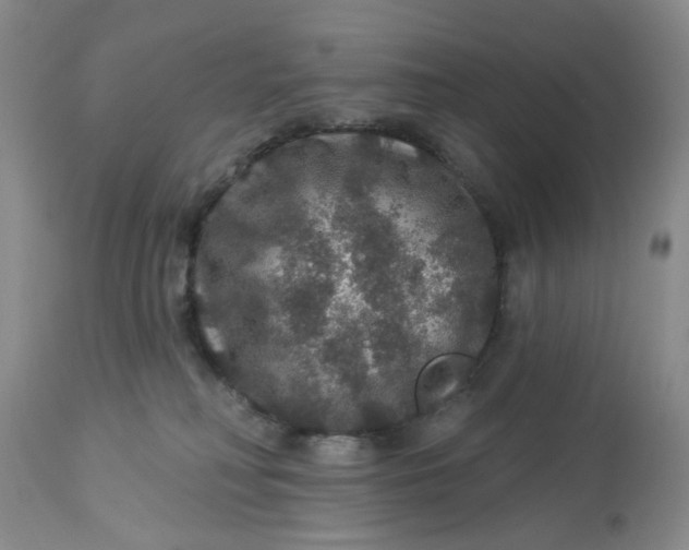 X0000113180230200909251450