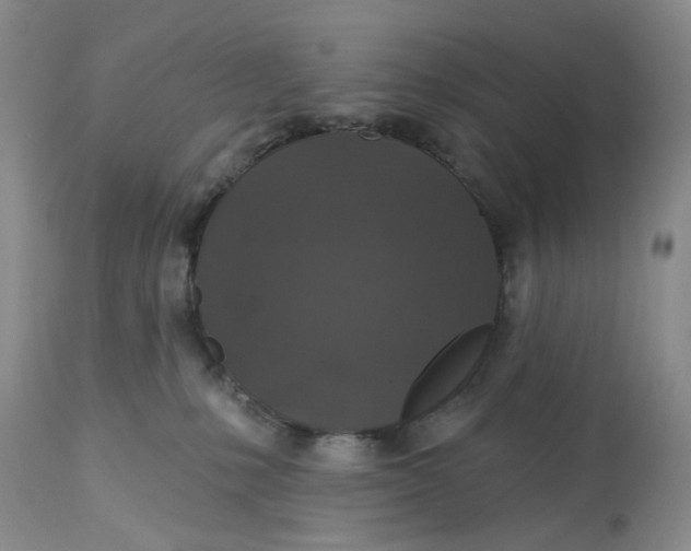 X0000113180231200909251450