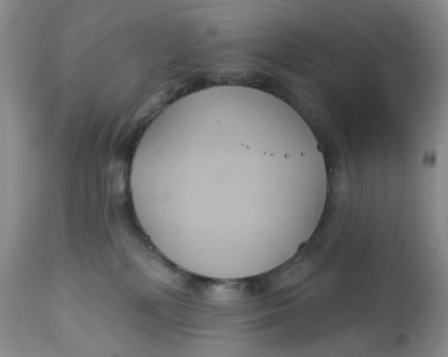 X0000113180232200909251449