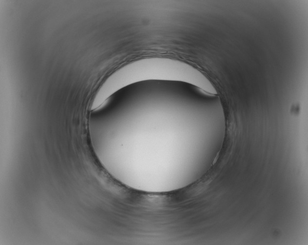X0000113180233200909251449