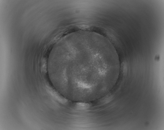 X0000113180234200909251449