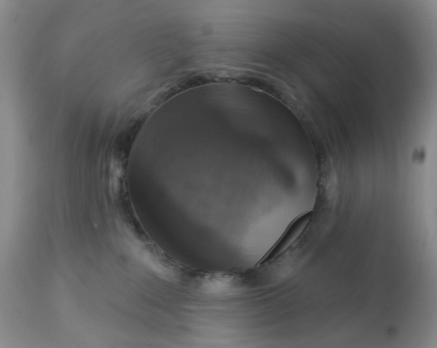 X0000113180235200909251449