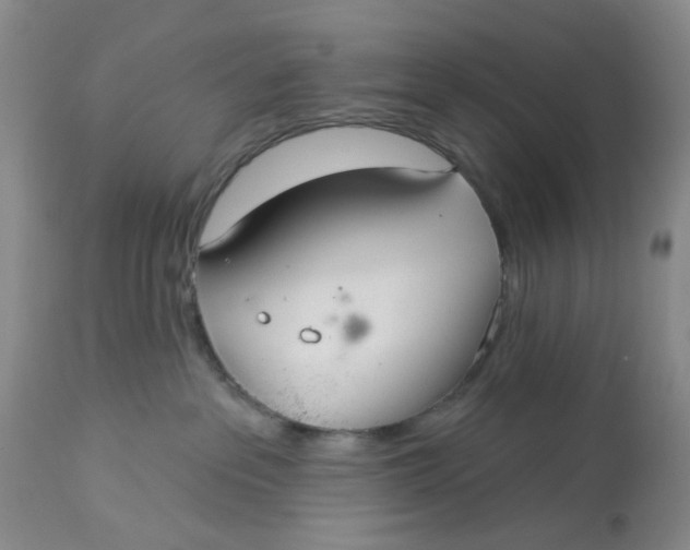 X0000113180237200909251449