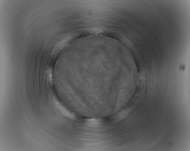 X0000113180238200909251449
