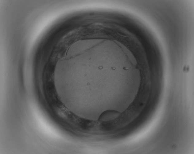 X0000113180239200909251449