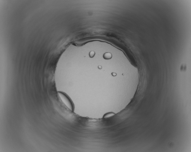 X0000113180240200909251449