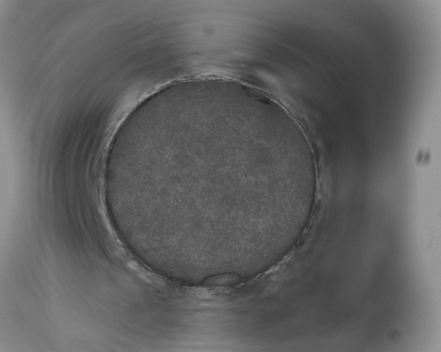 X0000113180241200909251449