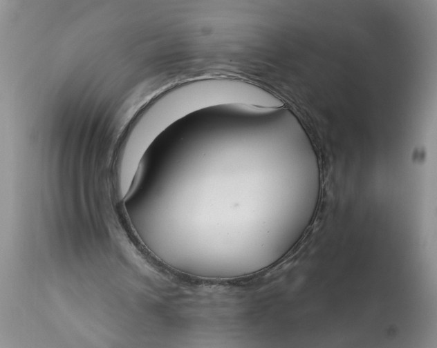 X0000113180242200909251449