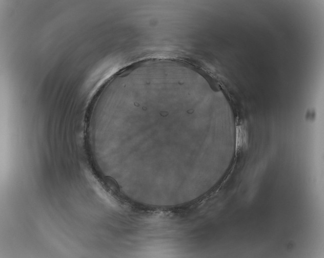 X0000113180243200909251449