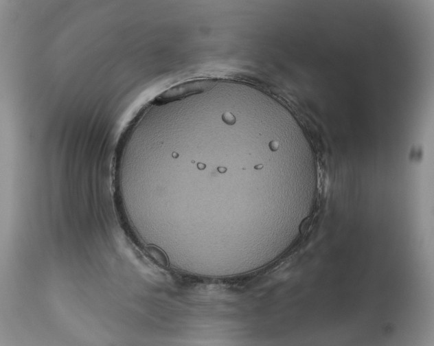X0000113180244200909251449