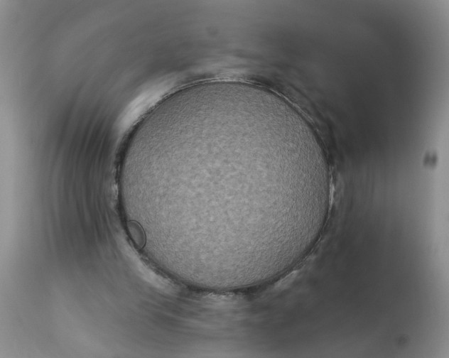 X0000113180245200909251449