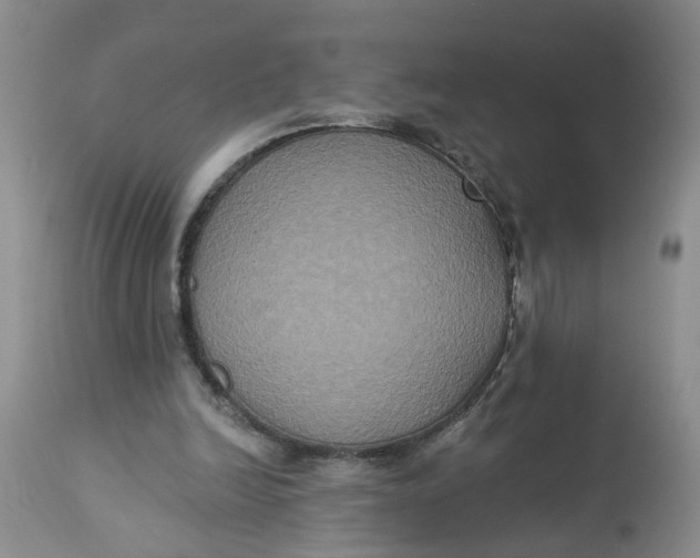 X0000113180246200909251449