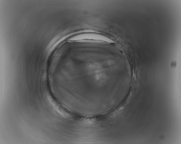 X0000113180247200909251449
