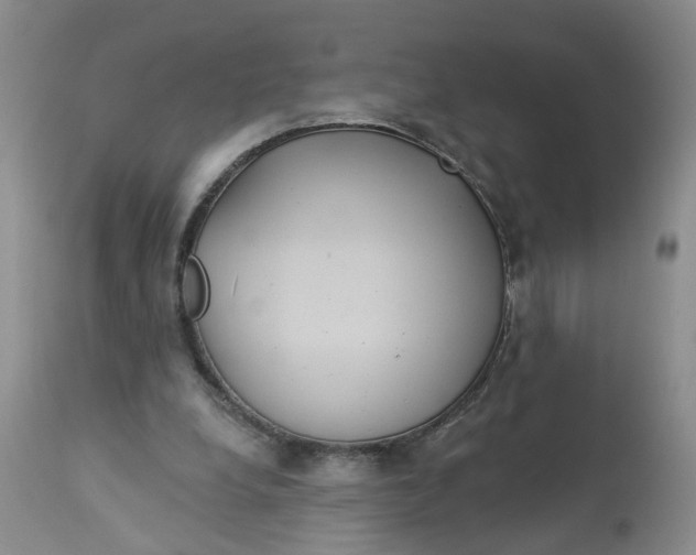 X0000113180248200909251449