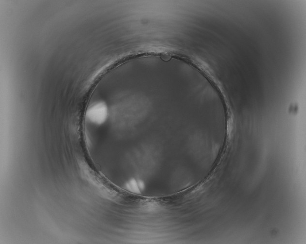 X0000113180249200909251449