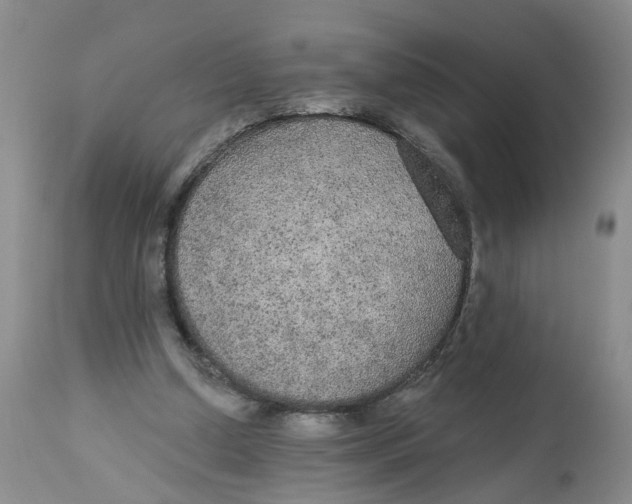 X0000113180250200909251449