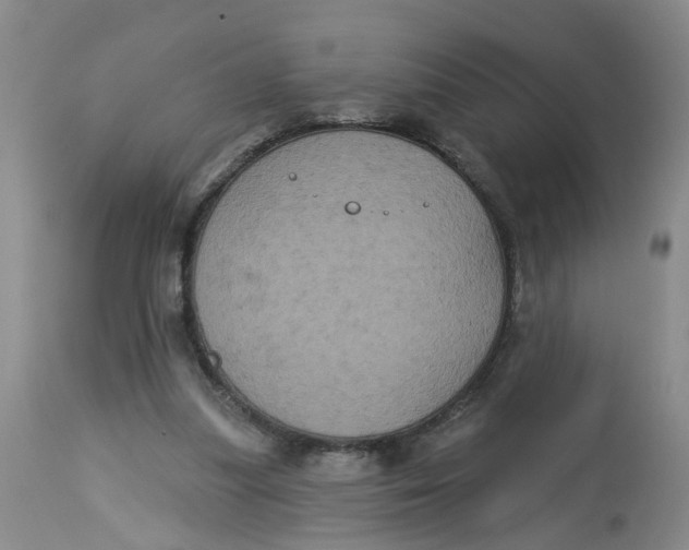 X0000113180251200909251449