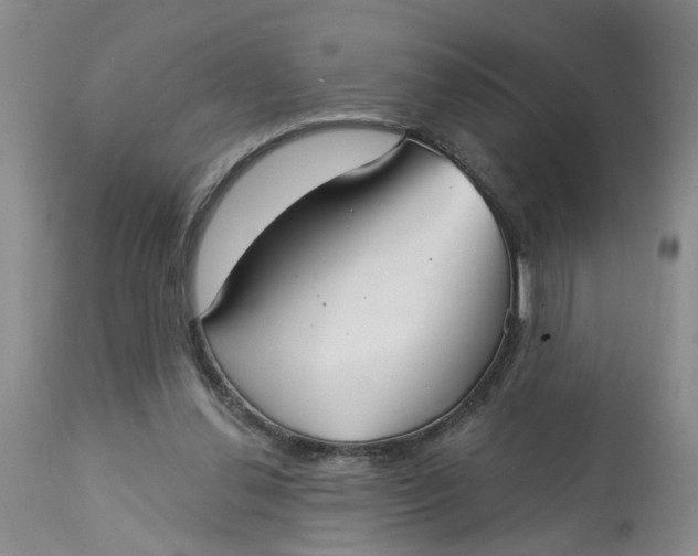 X0000113180252200909251449