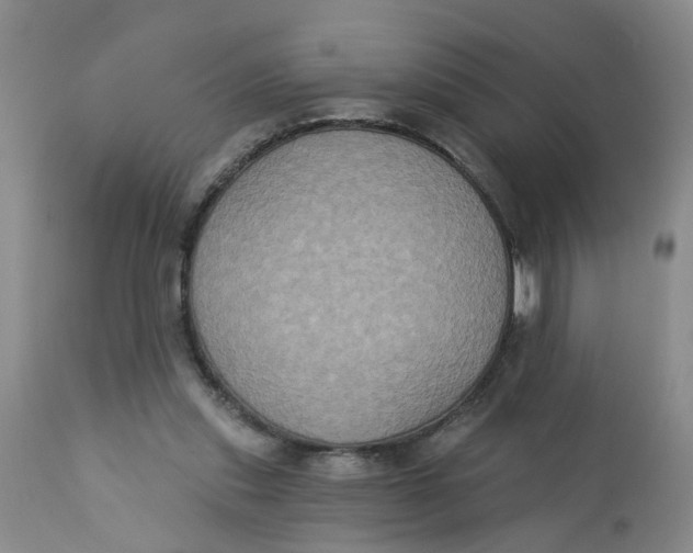 X0000113180253200909251449