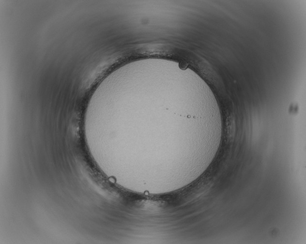 X0000113180255200909251449