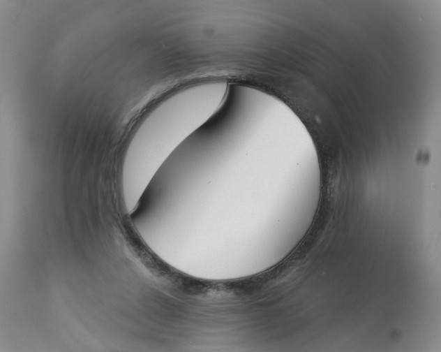 X0000113180256200909251449