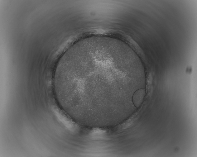 X0000113180257200909251449
