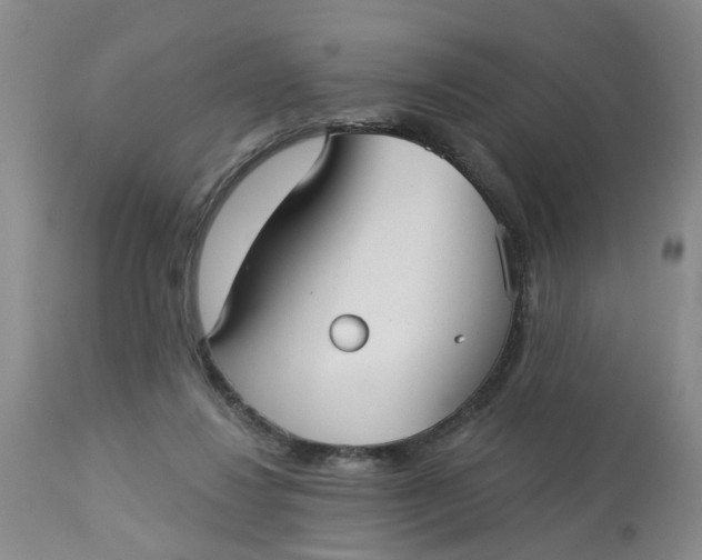 X0000113180260200909251449