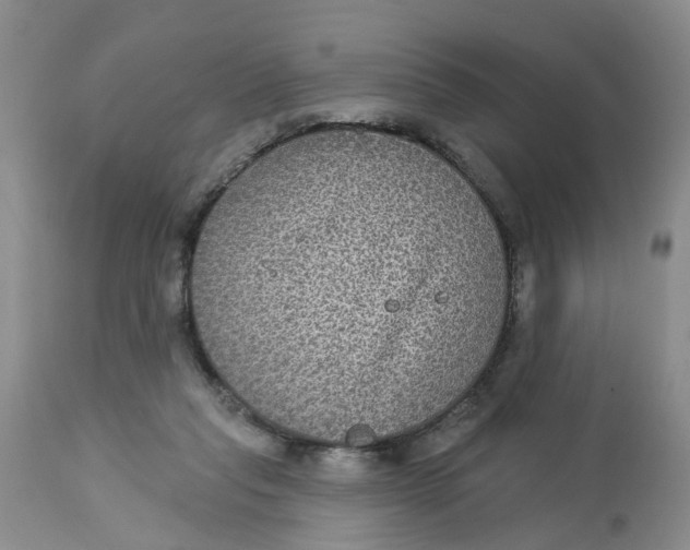 X0000113180261200909251449
