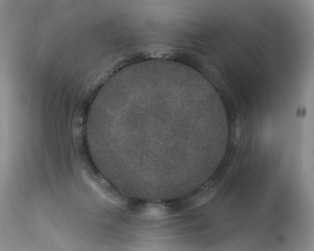 X0000113180263200909251449