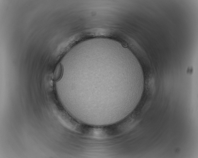 X0000113180264200909251449