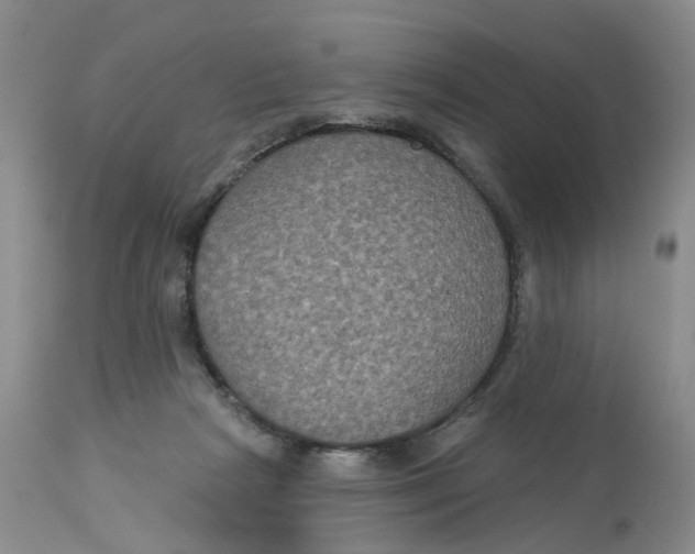 X0000113180265200909251449