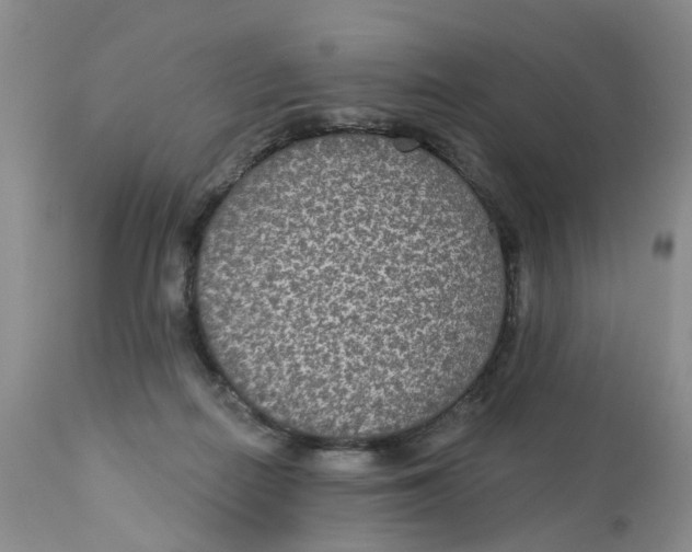 X0000113180266200909251449