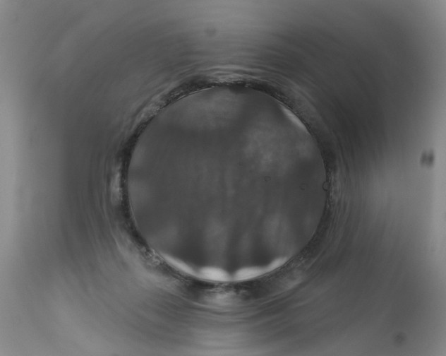 X0000113180267200909251449