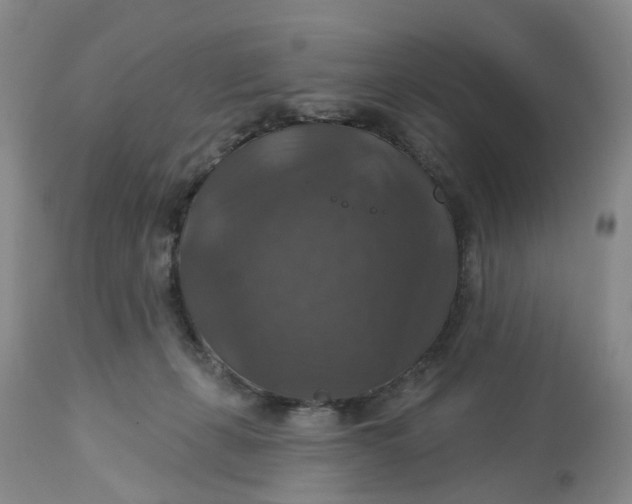 X0000113180271200909251449