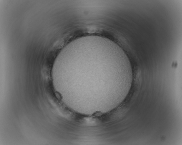 X0000113180272200909251449