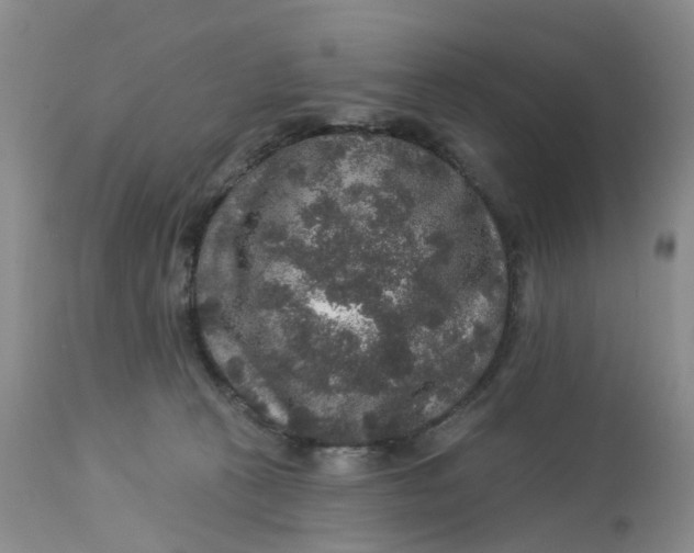 X0000113180273200909251449