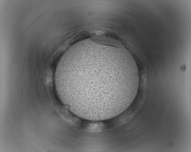 X0000113180274200909251449
